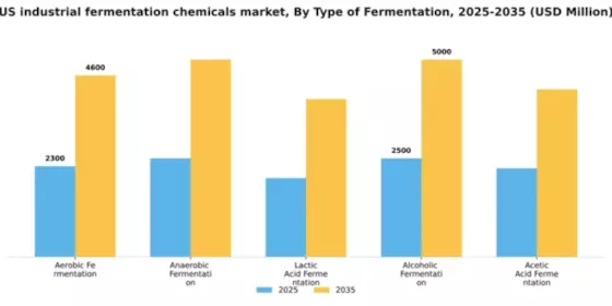 US Industrial Fermentation Chemicals Market Segment Image 4