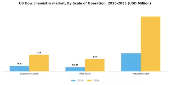 US Flow Chemistry Market Segment Image 3
