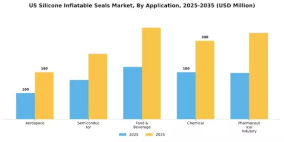 US Silicone Inflatable Seals Market Segment Image 0