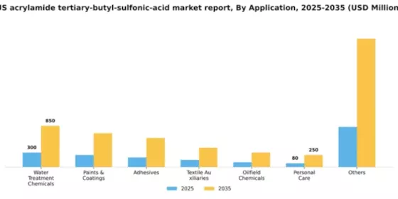 US Acrylamide Tertiary Butyl Sulfonic Acid Market Segment Image 0