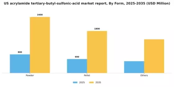 US Acrylamide Tertiary Butyl Sulfonic Acid Market Segment Image 1
