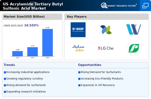 US Acrylamide Tertiary Butyl Sulfonic Acid Market Infographic
