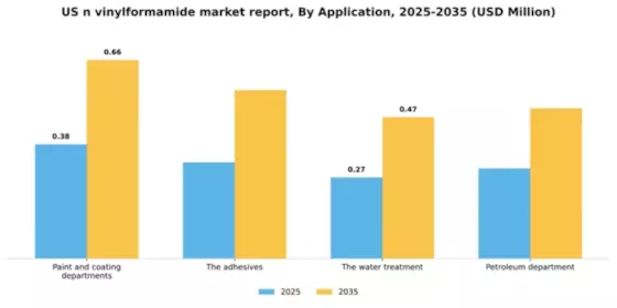 US N Vinylformamide Market Segment Image 0