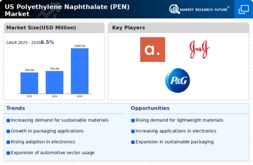 US Polyethylene Naphthalate Market Infographic