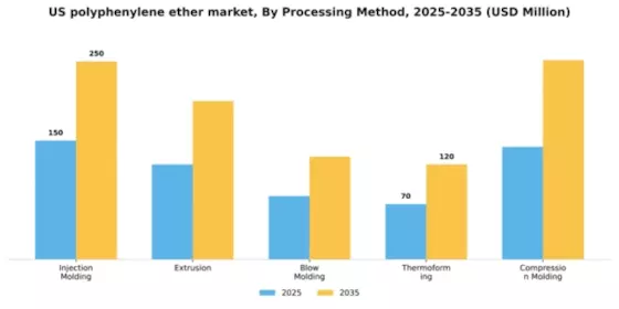US Polyphenylene Ether PPE Market Segment Image 3