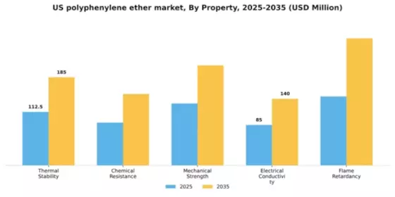 US Polyphenylene Ether PPE Market Segment Image 4