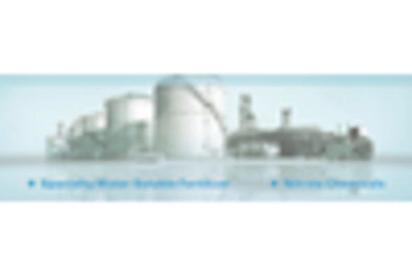 US Sodium Nitrate Market
 key player