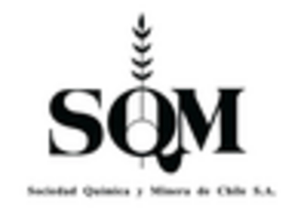 US Sodium Nitrate Market
 key player