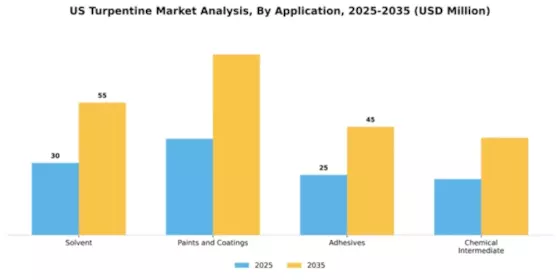 US Turpentine Market Segment Image 0