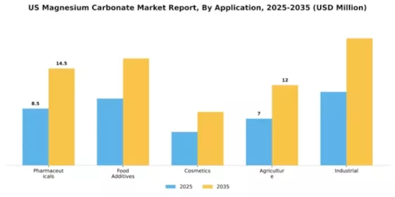 US Magnesium Carbonate Market Segment Image 0