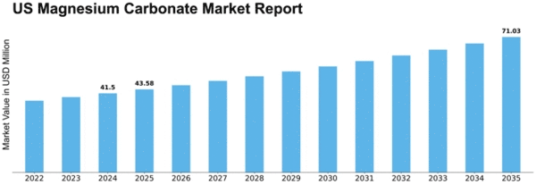 US Magnesium Carbonate Market
 Size