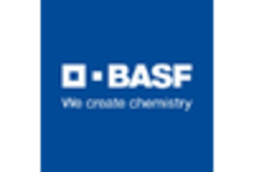 US Sodium Hydroxide Market
 key player