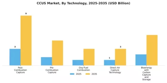 2026 Carbon Capture Utilization and Storage (CCUS) Market Segment Image 4