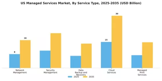 United States Managed Services Market Segment Image 2
