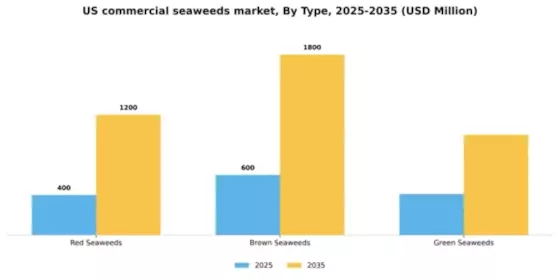 US Commercial Seaweeds Market  Segment Image 0
