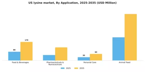 US Lysine Market Segment Image 0