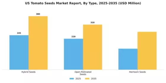 US Tomato Seeds Market Segment Image 3