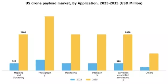 US Drone Payload Market Segment Image 0