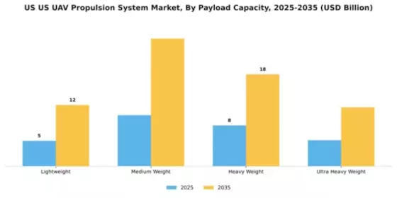 US UAV Propulsion System Market Segment Image 2