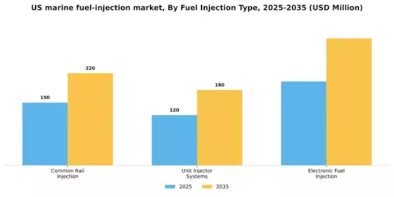 US Marine Fuel Injection Market Segment Image 2