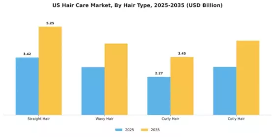 US South Africa Hair Care Market Segment Image 2
