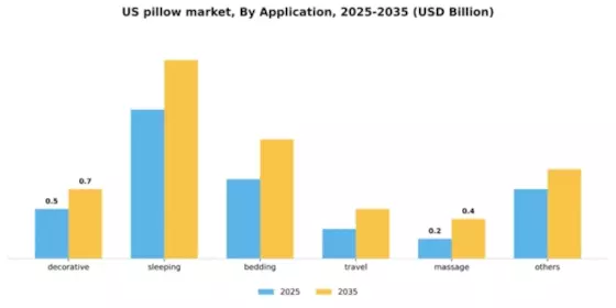US Pillow Market Segment Image 0