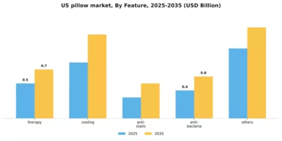 US Pillow Market Segment Image 1