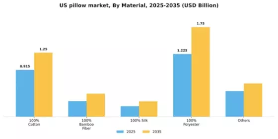 US Pillow Market Segment Image 3