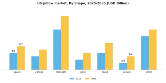 US Pillow Market Segment Image 4