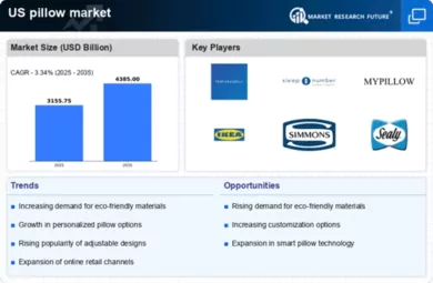 US Pillow Market Infographic