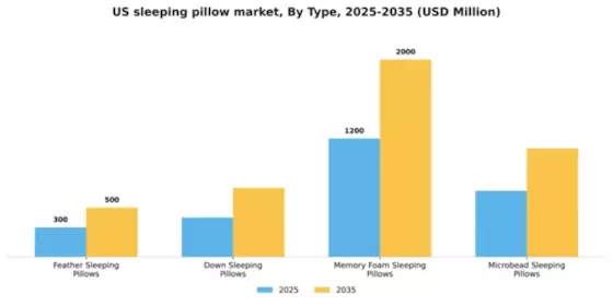 US Sleeping Pillow Market Segment Image 2