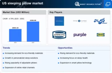 US Sleeping Pillow Market Infographic