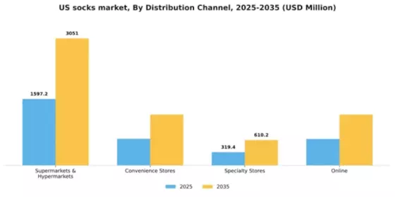 US Socks Market Segment Image 0