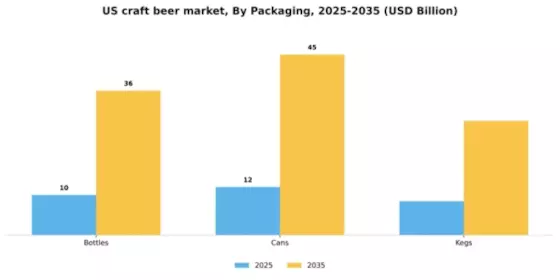 US Craft Beer Market  Segment Image 2