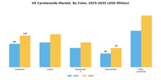 US Carotenoids Market  Segment Image 1