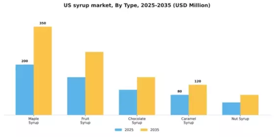 US Syrup Market Segment Image 3