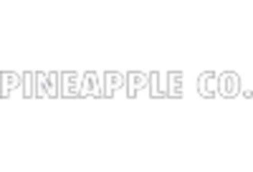 US Fruit Vinegar Market key player