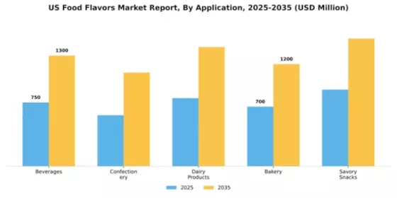 US Food Flavors Market Segment Image 0