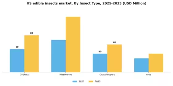 US Edible Insects Market Segment Image 3