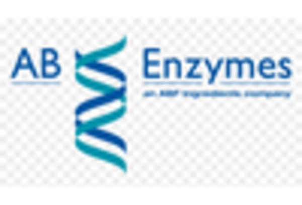 US Bakery Enzymes Market key player
