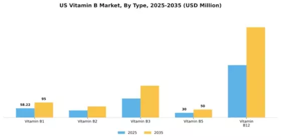 US Vitamin B Market  Segment Image 3