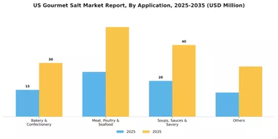 US Gourmet Salt Market Segment Image 0