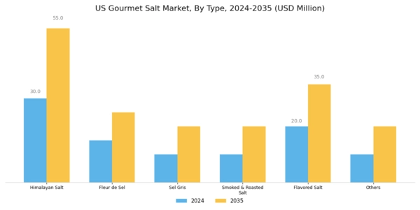 US Gourmet Salt Market Segment Image 0