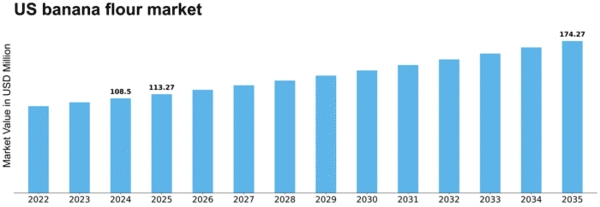 US Banana Flour Market Size