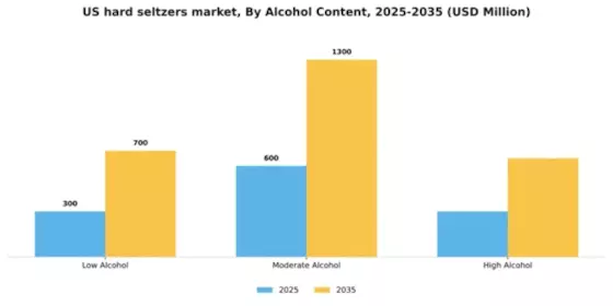 US Hard Seltzers Market Segment Image 0