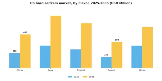 US Hard Seltzers Market Segment Image 2