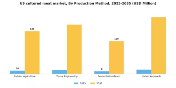 US Cultured Meat Market Segment Image 2