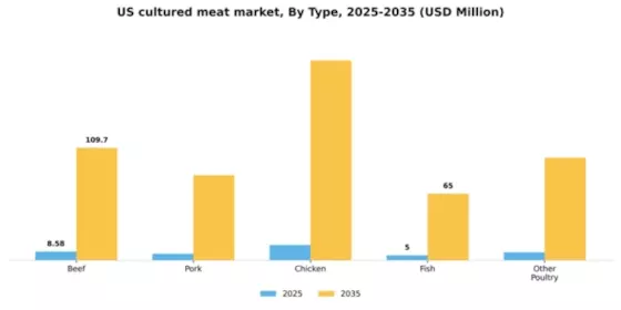 US Cultured Meat Market Segment Image 3