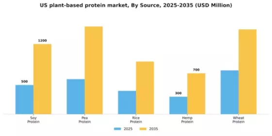 US Plant Based Protein Market Segment Image 3