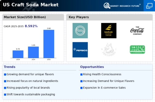 US Craft Soda Market  Infographic